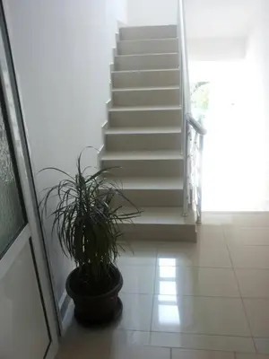 a stairway with a potted plant next to a staircase at Wonderful Seaview Apartment in Ulcinj
