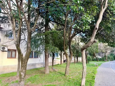 a row of trees on the side of a street at Modern Apartment Free Parking Near Center in Podgorica