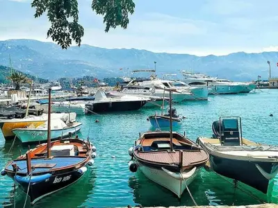 a bunch of boats are docked in a harbor at Studio Maris in Budva