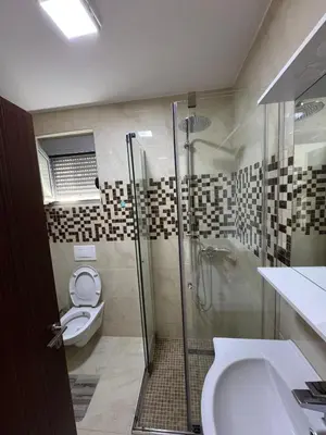 a bathroom with a shower and a toilet and a sink at Family Comfort Apartment in Ulcinj
