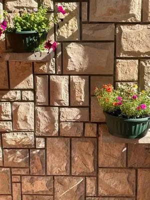 two pots of flowers on a brick wall at Apartments Revea in Budva