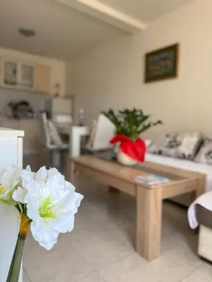 a living room with a couch and a table with flowers at Coral apartment in Budva
