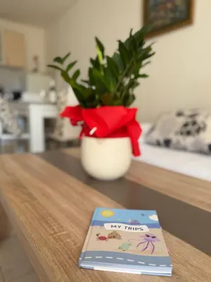 a book sitting on top of a table with a plant at Coral apartment in Budva