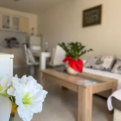 Coral apartment
