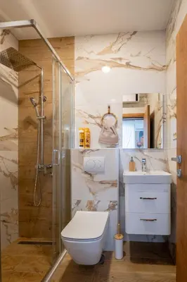 a bathroom with a shower and a toilet and a sink at Apartman Ksenija in Cetinje