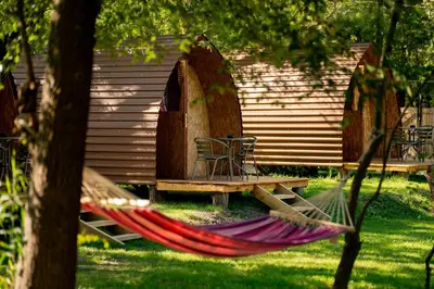 a hammock in front of a log cabin at Camp River Skadar Lake in Gostilj