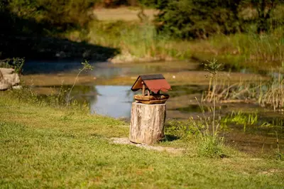 a bird house on top of a stump next to a pond at Camp River Skadar Lake in Gostilj