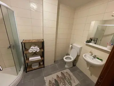 a bathroom with a toilet and a sink at Viktorija Apartment Petrovac in Petrovac na Moru
