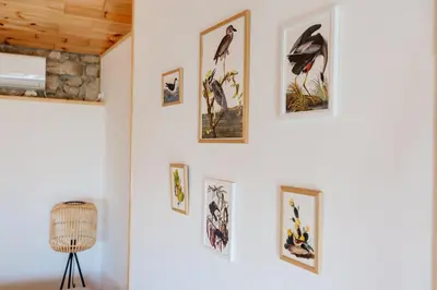 a wall of pictures of birds on a wall at Pelican Bay House - Skadar Lake in Krnjice