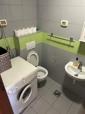 a bathroom with a washing machine next to a toilet at Stex Elite City Kvart in Podgorica