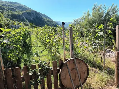a wooden fence with a barrel in a vineyard at villa lavander hill in Budva