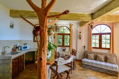 a kitchen with a tree in the middle of a room at Pataki Guesthouse in Petrovac na Moru