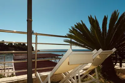 a white bench sitting next to a palm tree at Junto al mar in Ulcinj