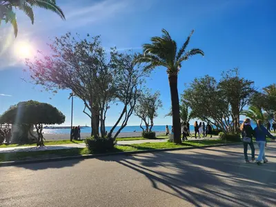 people walking down a street near the beach with palm trees at LIMONCELLO Apartment in Bar
