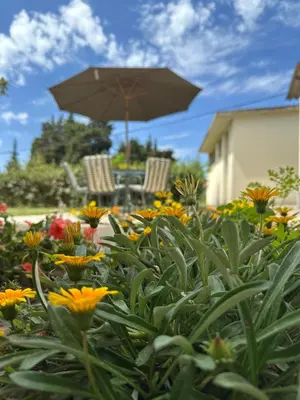 a patio with an umbrella and chairs and flowers at Stari Bar Apartments in Stari Bar