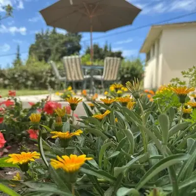 Stari Bar Apartments