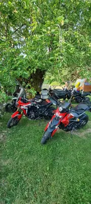 a group of motorcycles parked in the grass under a tree at Livari CAMPING in Livari