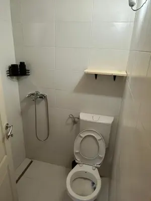 a small bathroom with a toilet and a shower at Ada in Ulcinj