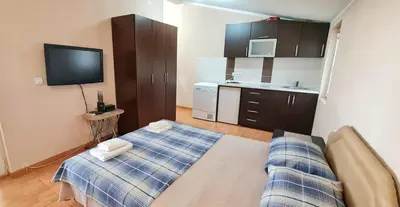 a small room with a bed and a kitchen at Apartment Dragicevic 9 - with garage in Budva