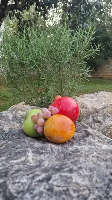 a group of fruits sitting on a rock at LuxEcoCottage in Podgorica