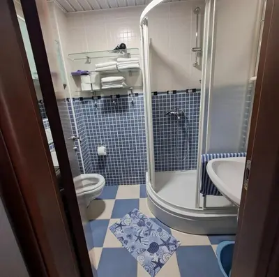 a bathroom with a shower and a toilet and a sink at Apartman Tijana in Budva