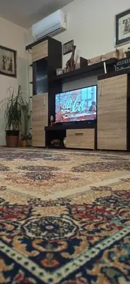 a living room with a television and a rug at Cozy city center apartment in Podgorica