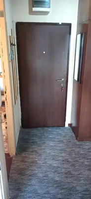 a large wooden door in a hallway with a carpet at Cozy city center apartment in Podgorica