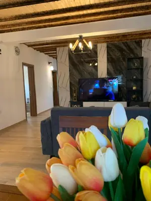 a bunch of tulips in a living room with a tv at Braća Velić in Bar