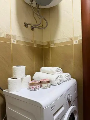 a laundry room with a washing machine and towels at Comfort corner Podgorica in Podgorica