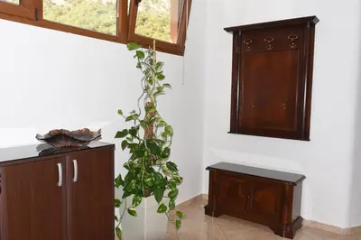 a plant is growing in a room with a cabinet at Aky apartment in Škaljari