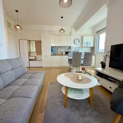 Comfortable City Apartment