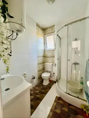 a bathroom with a shower and a toilet and a sink at PrivatHomeUlcinj2 in Ulcinj