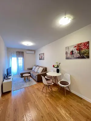 Gallery image of Argentum Central Point 1BR in Podgorica