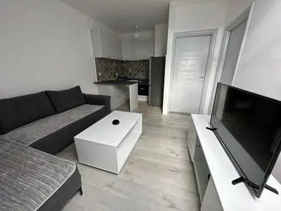 a living room with a couch and a flat screen tv at Andrea Apartment in Podgorica