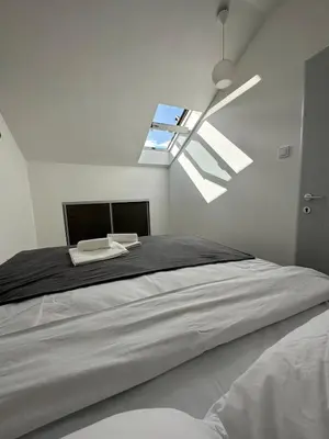 a bedroom with a large bed with a skylight at Andrea Apartment in Podgorica
