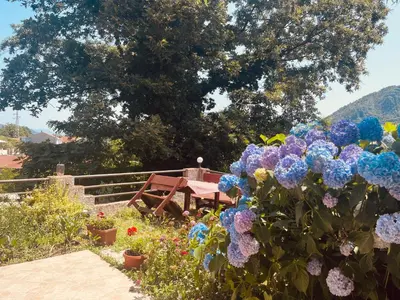 a garden with colorful flowers and a picnic table at Apartments Four Countesses in Virpazar