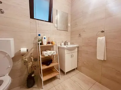 a bathroom with a sink and a toilet at Apartments Four Countesses in Virpazar