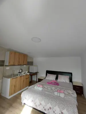 a bedroom with a bed and a kitchen with a sink at Studio apartman Milena 1 in Podgorica