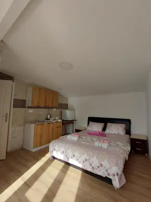 a bedroom with a bed and a kitchen at Studio apartman Milena 1 in Podgorica