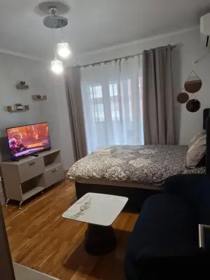 a bedroom with a bed and a flat screen tv at Ljubovic prestige apartment in Podgorica