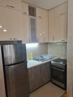 a kitchen with a stainless steel refrigerator and a sink at Ljubovic prestige apartment in Podgorica