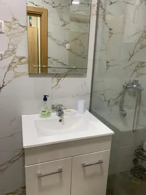 a bathroom with a white sink and a shower at Apartman SA&BO in Podgorica