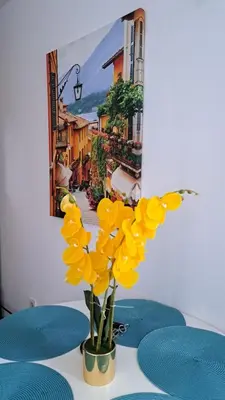 a vase filled with yellow flowers on a table at Sheldon in Budva