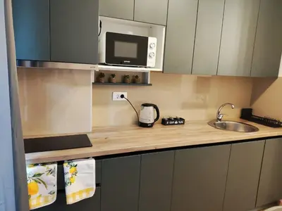 a kitchen counter with a sink and a microwave at Apartments Sunny in Becici