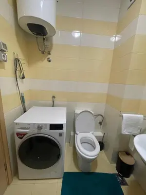 a small bathroom with a washing machine and a toilet at Sunny Corner Apartment in Podgorica