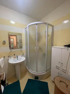 a bathroom with a shower and a sink at Sunny Corner Apartment in Podgorica
