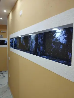 a wall with a large aquarium in a room at Grandino Rooms & Apartments in Ulcinj