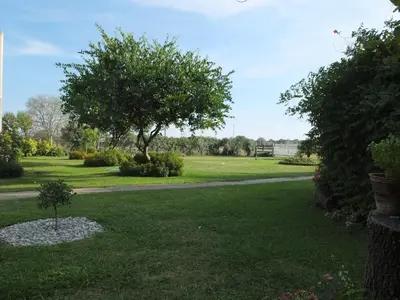 a park with a tree and a walkway at Luce di Sole Apartment in Ulcinj