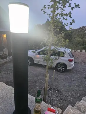 a white car parked in a parking lot with a tree at Village Drago in Cetinje
