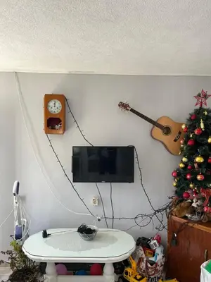 a living room with a tv and a christmas tree at Guest House Fenix
